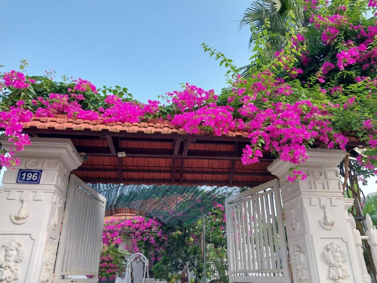 Nha Xanh Homestay 닌빈 외부 사진